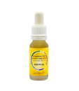 Essenz Abgrenzung (15ml)
